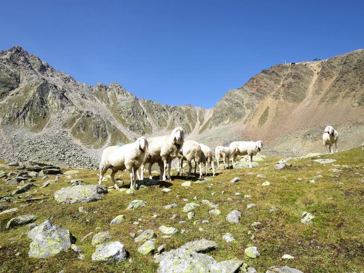 Wildmoos - Soe315 By Interhome * Sölden